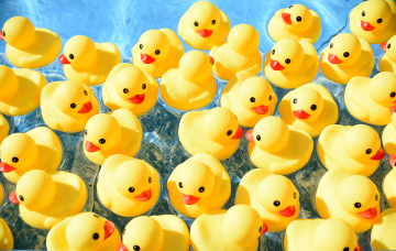 iStock-1286117398